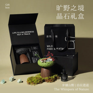 雅风无火香薰室内持久家用高级感扩香石摆件生日乔迁礼物香氛礼盒