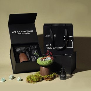 Diffuser Stone Home Fragrance Set